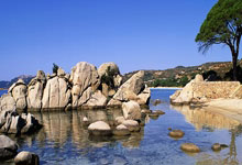 社保卡到 2027 年基本实现全国“一卡通”